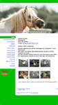 Mobile Screenshot of mini-shetty.com